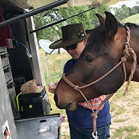 Equine Vet Services